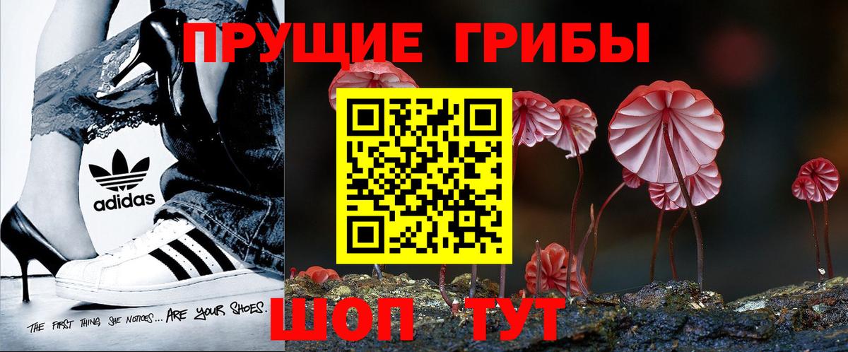 Можга  Псилоцибиновые грибы прущие грибы  Вход с VPN 